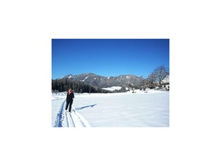 Langlaufen am Familienbauernhof Grossgrub