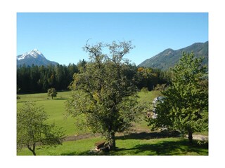 Familienbauernhof Grossgrub Kleiner Priel (70)