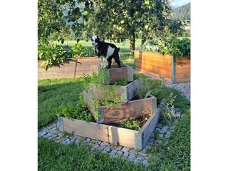 Mia auf der Kräuterpyramide