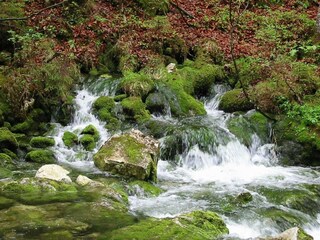 Naturjuwel im Nationalpark Kalkalpen