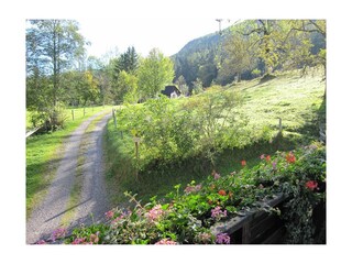 Balkonblick nach Osten auf die Weiden & Wälder
