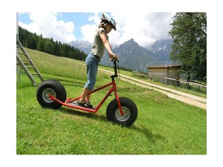 Monster-Roller für Wagemutige