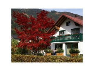 Herbst