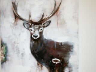 Appartamento per vacanze Oberstdorf Caratteristiche 23