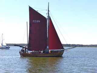Zeesenbootsegeln ab Wieck