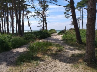 Weg zum Weststrand