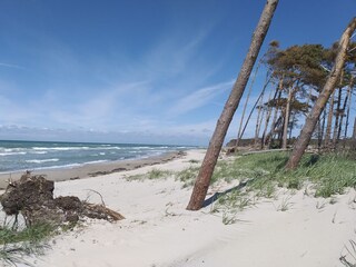 Weststrand