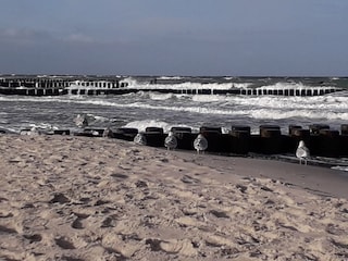 stürmische See
