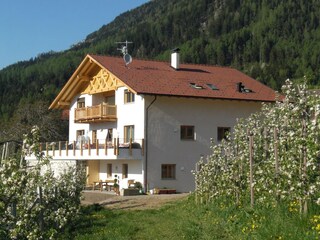 Holiday apartment Meran Outdoor Recording 2