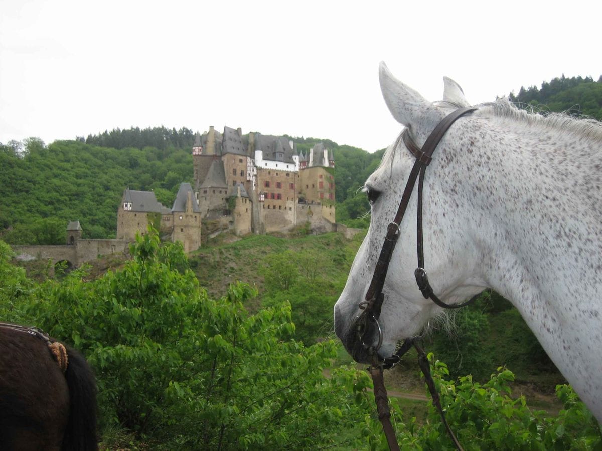 Burg Eltz, zu Pferd, zu Fuß oder mit Auto