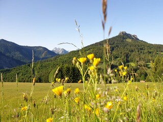 Appartamento per vacanze Jungholz Ambiente 14