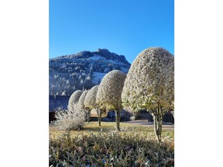 Appartamento per vacanze Jungholz Registrazione all'aperto 3