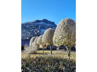 Holiday apartment Jungholz Outdoor Recording 2