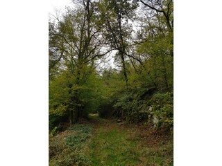 Appartamento per vacanze Hohenstein im Untertaunus Ambiente 25