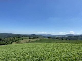 Appartamento per vacanze Hohenstein im Untertaunus Ambiente 27