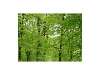 Appartamento per vacanze Hohenstein im Untertaunus Ambiente 31