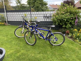 Appartement de vacances Hohenstein im Untertaunus Équipement 12