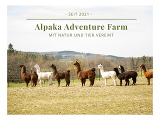 Appartamento per vacanze Hohenstein im Untertaunus Ambiente 37