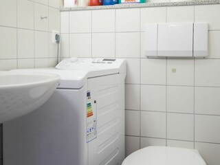 separates WC, Muschelsucher 2