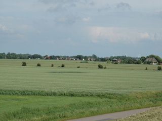 Blick vom Deich