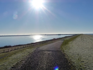 Sonne beim Spaziergang auf dem Deich genießen