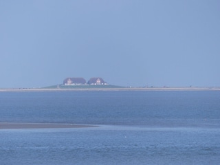 Hallig voraus