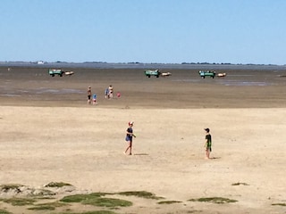 Die Wattenkutschen kommen zurück - Spiel am Strand