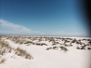 Kniepsand auf Amrum - immer ein Ausflug wert