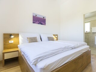 Villa Nedescina Caratteristiche 28