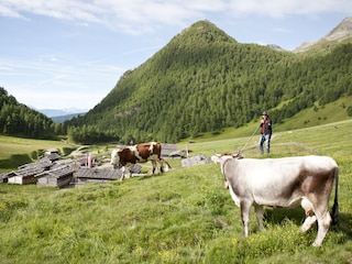 Almdorf Fane