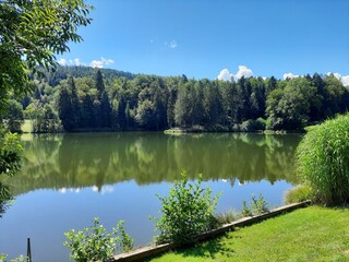 Casa per le vacanze Velden Ambiente 33