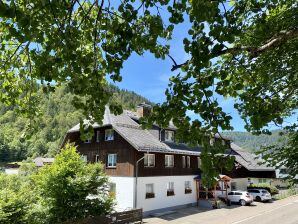 Ferienwohnung Meierhof Menzenschwand