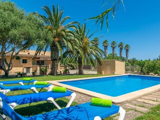 Villa Manacor Registrazione all'aperto 3