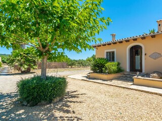 Villa Manacor Registrazione all'aperto 19