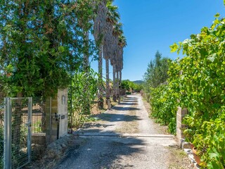 Villa Manacor Registrazione all'aperto 20