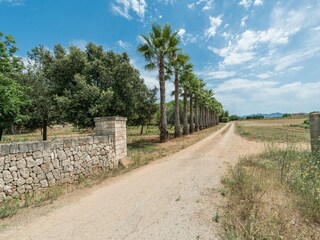 Casa per le vacanze Manacor Registrazione all'aperto 30