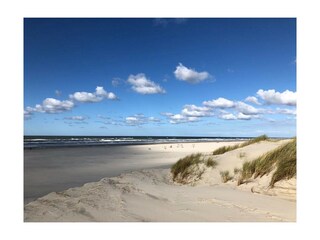 Strand und Dünen Juist