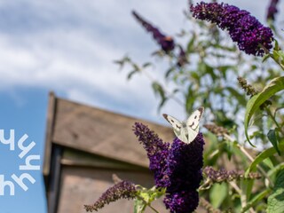 Ferienhaus Aagtekerke Umgebung 15