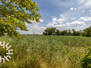 Vakantiehuis Aagtekerke Omgeving 25