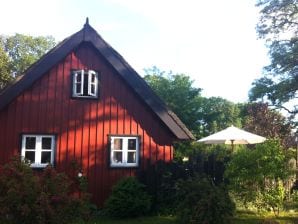 Ferienhaus Backbord Katen - Born - image1