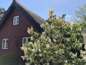 Ferienhaus Backbord Katen - Born - image1