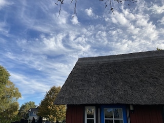 Frühlingswind
