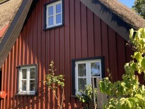 Ferienhaus Backbord Katen - Born - image1