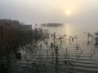 Herbstnebel am frühen Morgen auf dem Bodden