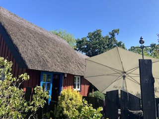 Sommer auf geschützter Terrasse