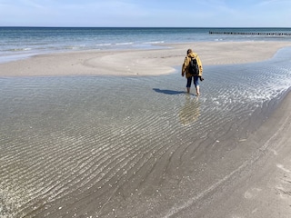 noch ist das Ostseewasser kalt