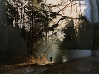 Mit dem Fahrrad durch den Herbstwald