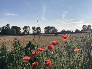 Born zwischen weiten Wiesen, Wasser und Wald