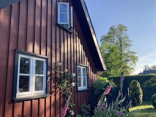 Sommer in Born