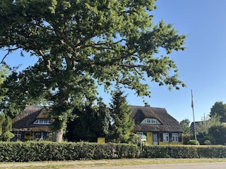 Romantische Reetdach Fischerhäuser in Born